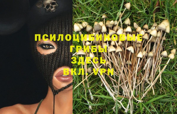 mdma Верхний Тагил